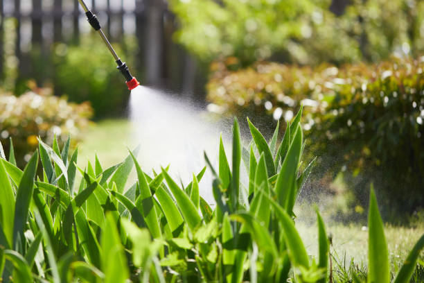 24/7 Emergency Termite Control experts in Berne, IN