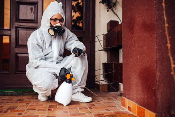 Reliable Termite Control contractor in Berne, IN by Nex Pest Control